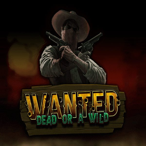 Wanted Dead Or A Wild